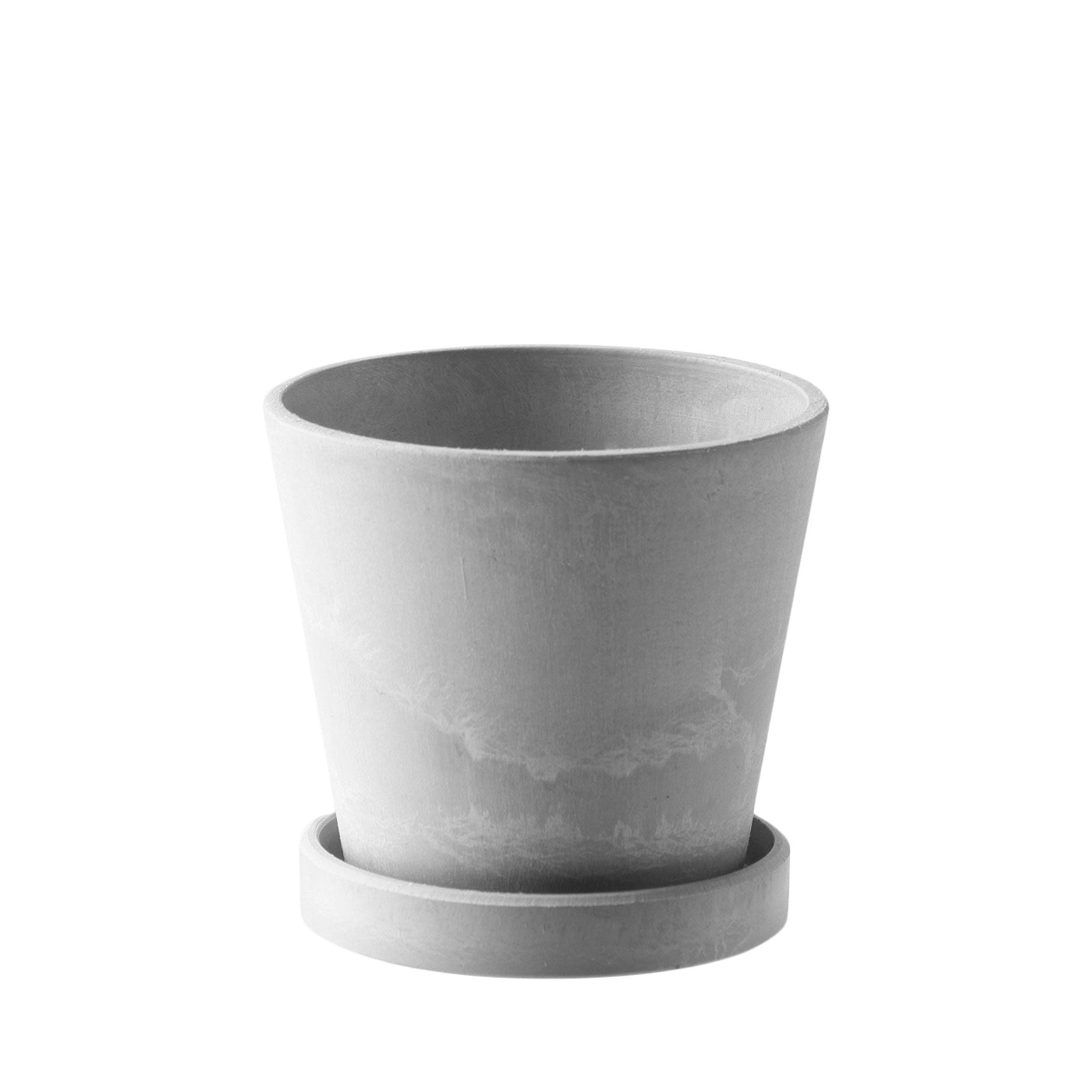 Scilla Blumentopf H6,2 cm